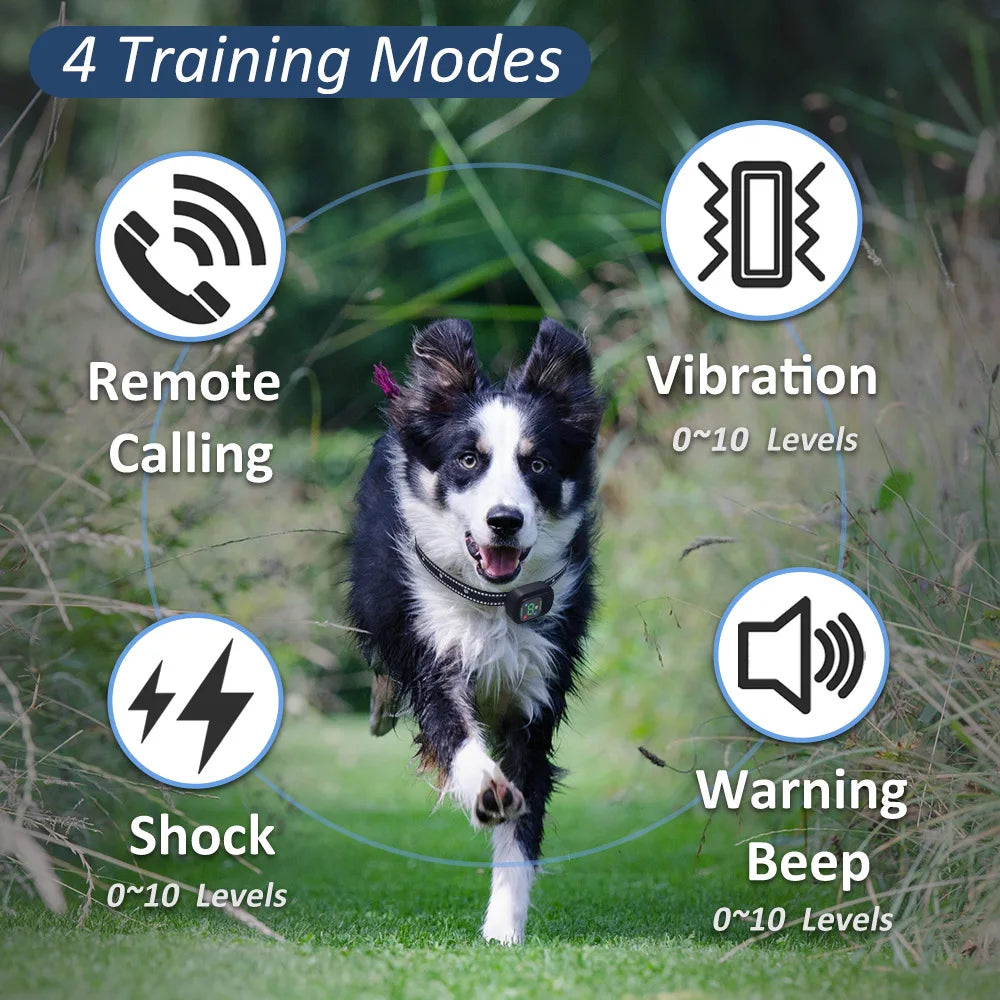 Dog Training Collar 6500FT with Remote IPX7 Waterproof Rechargeable E-Collar 4 Training Modes for All Breeds