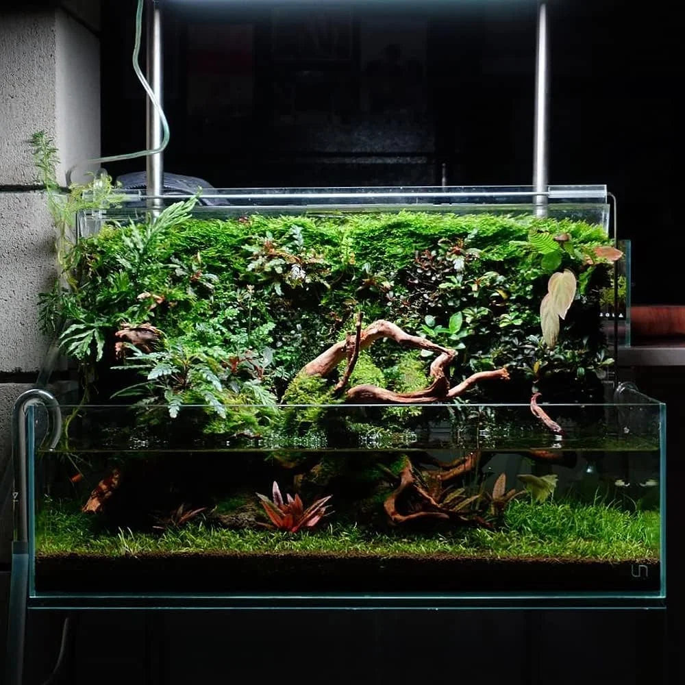 Controsoil Aquarium Substrate Soil For Freshwater Planted Tanks Nutrient Rich pH Buffering Porous Gravel 3L