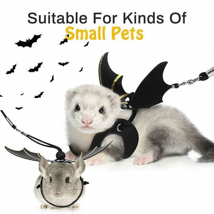 Lizard Leash Reptile Harness for Outdoor Pet Chameleon and Squirrel Supplies