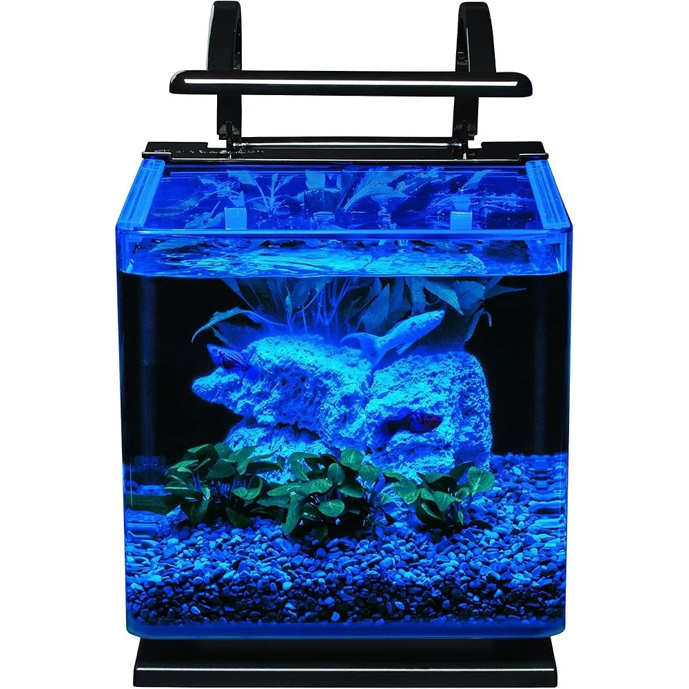 3 Gallon Contour Aquarium Kit with LED Lighting Sleek Rounded Glass Hidden Filter Easy Slide Canopy Ideal Aquatic Life