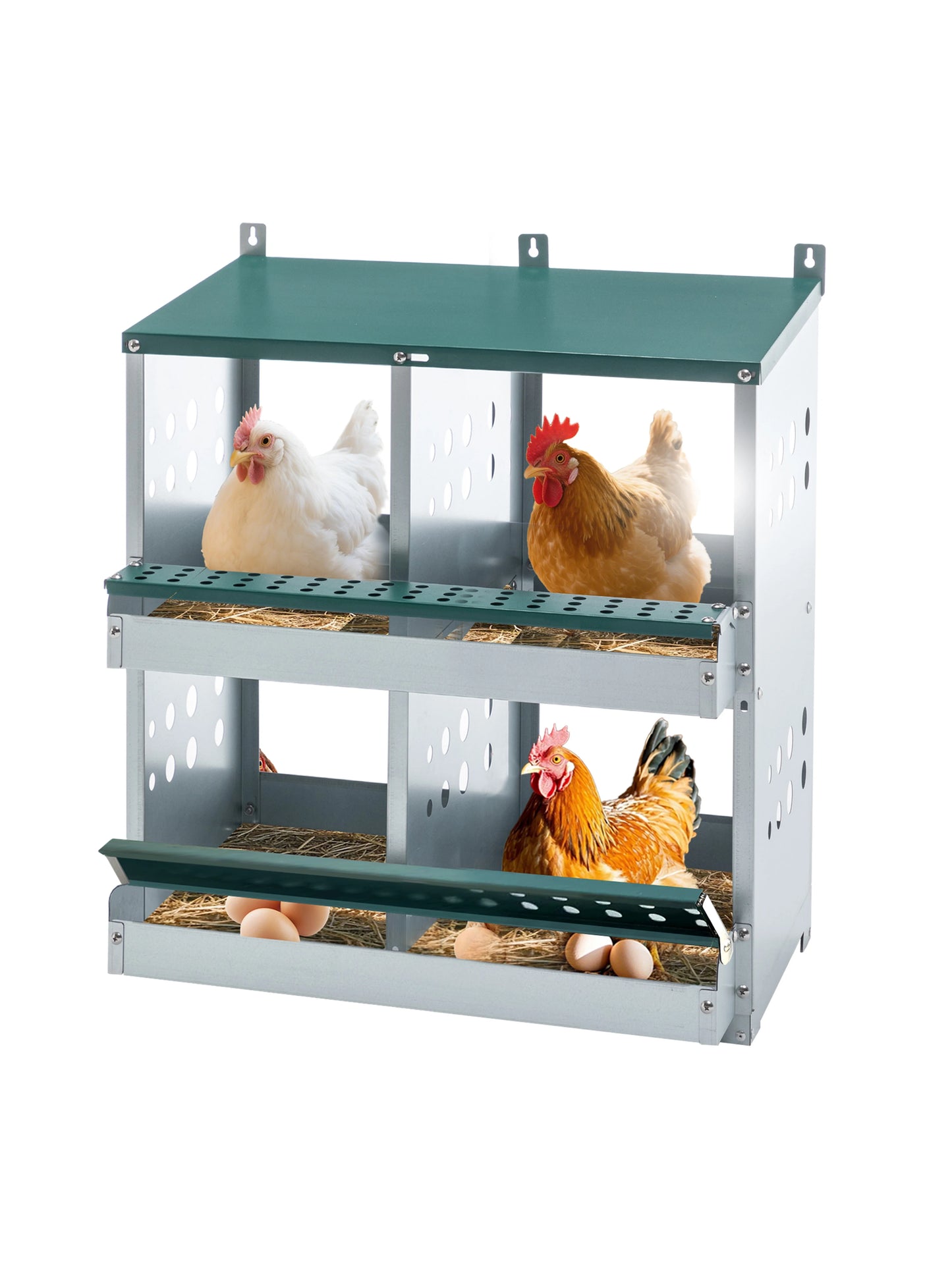 4 Compartment Chicken Nesting Boxes, Metal Nesting Boxes Wall Mount Chicken Egg Laying Box for Different Chicken Breeds