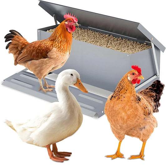 Automatic Chicken Feeder Poultry Feeding Box Feed Trough Dispenser Stainless Steel Equipment