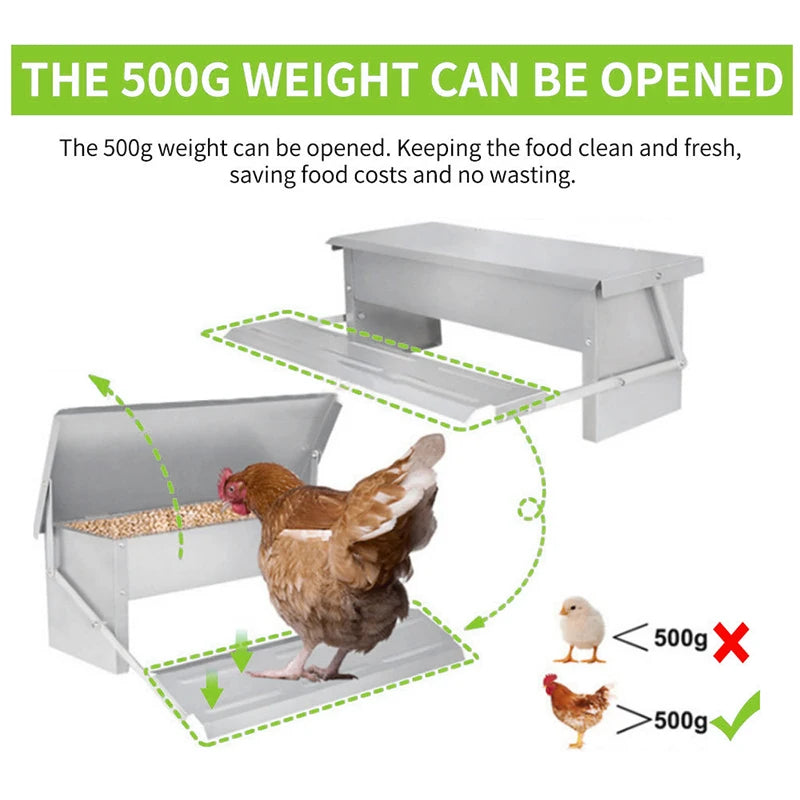 Automatic Chicken Feeder Poultry Feeding Box Feed Trough Dispenser Stainless Steel Equipment