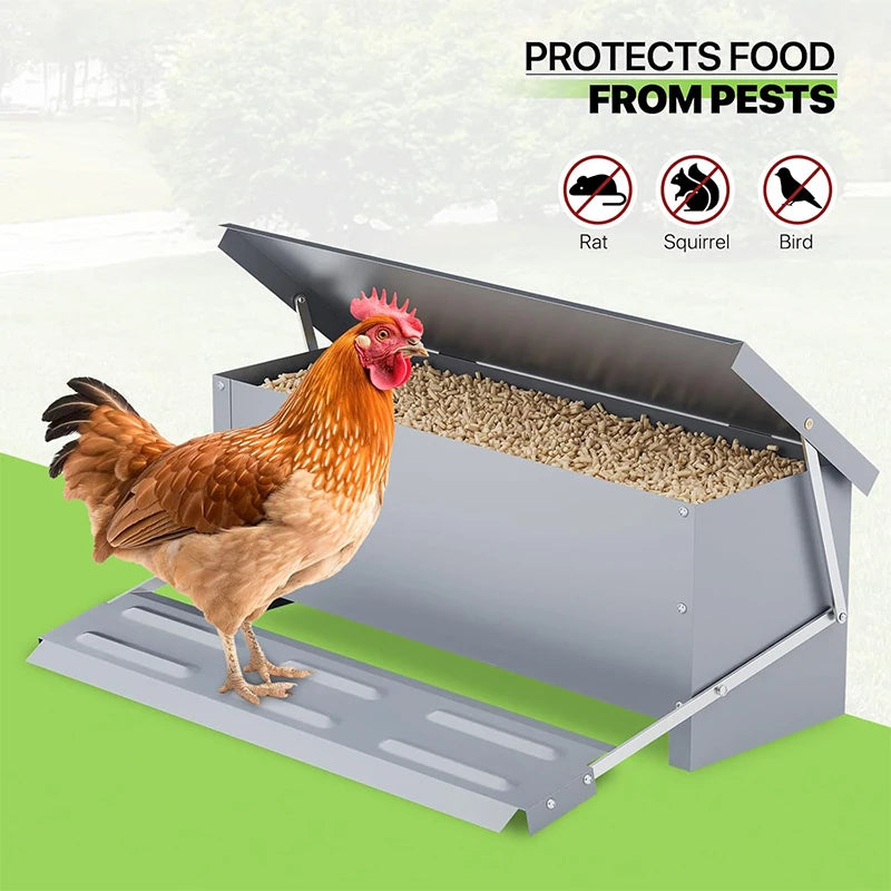 Automatic Chicken Feeder Poultry Feeding Box Feed Trough Dispenser Stainless Steel Equipment