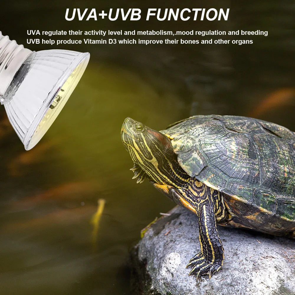 Reptile Heat Lamp Bulb With Clip-on Dimmable UVA UVB