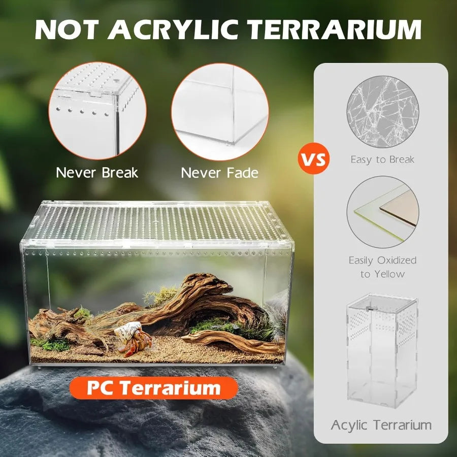 Reptile Terrarium Tank Versatile Enclosure For Gecko And Hermit Crab Habitat