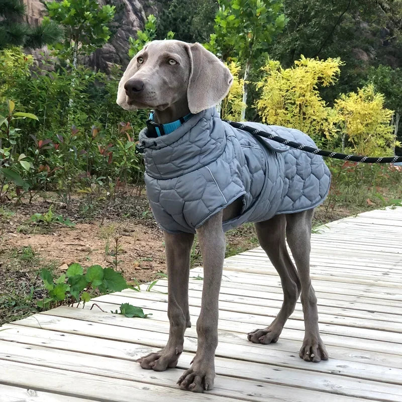 Winter Warm Reflective Snowsuit Down Jacket For Large Dogs