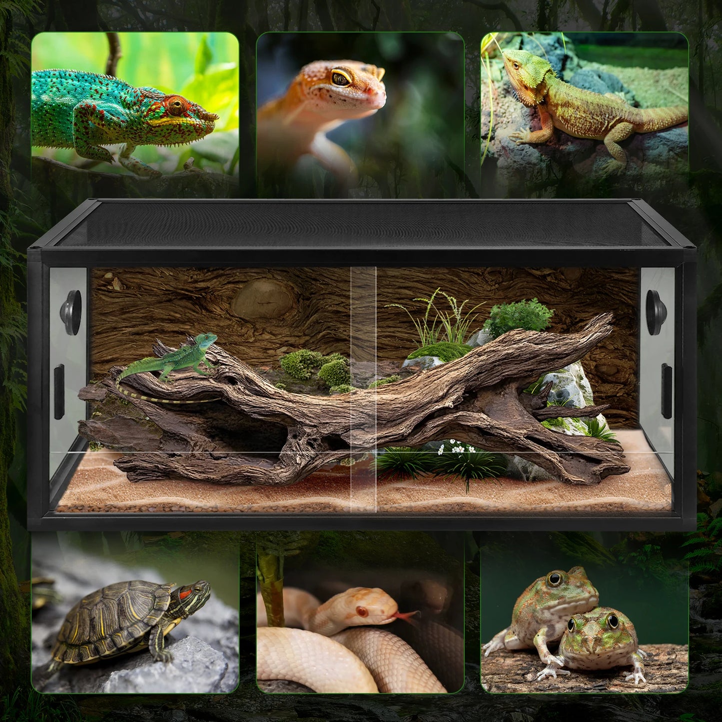 Reptile Breeding Box Front Opening Climbing Pet Landscaping Tank With Ventilation Black 90x45x45cm