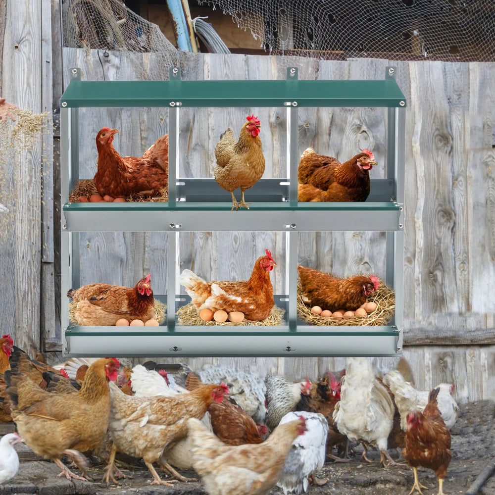 Chicken House 6 Chamber Metal Chicken House Galvanized Steel Hen House Chicken Coop Farm