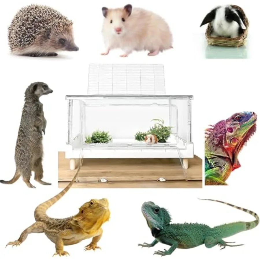 Acrylic Hamster Cage And Guinea Pig Cage Large Transparent Small Animal Habitat For Hamsters Gerbils Hedgehogs