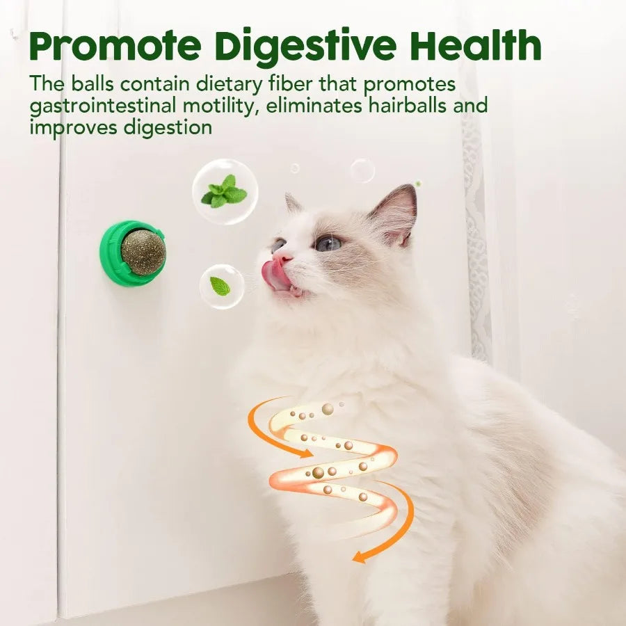 Catnip Balls for Cats 4 Pack Extra Energy Edible Silvervine Toys for Kittens Dental Cleaning