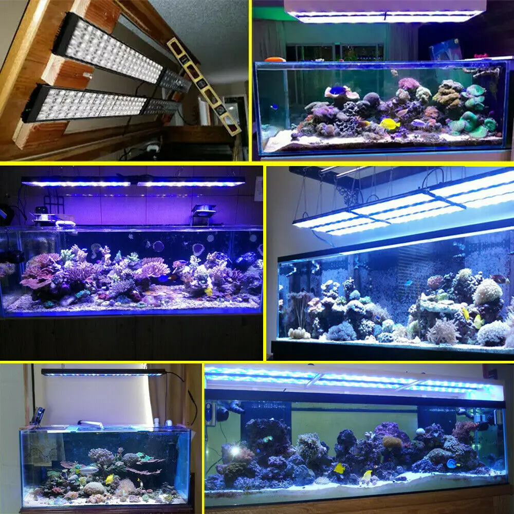 PopBloom Aquarium LED Lighting Full Spectrum for 80 to 100 cm Reef Tank SPS LPS
