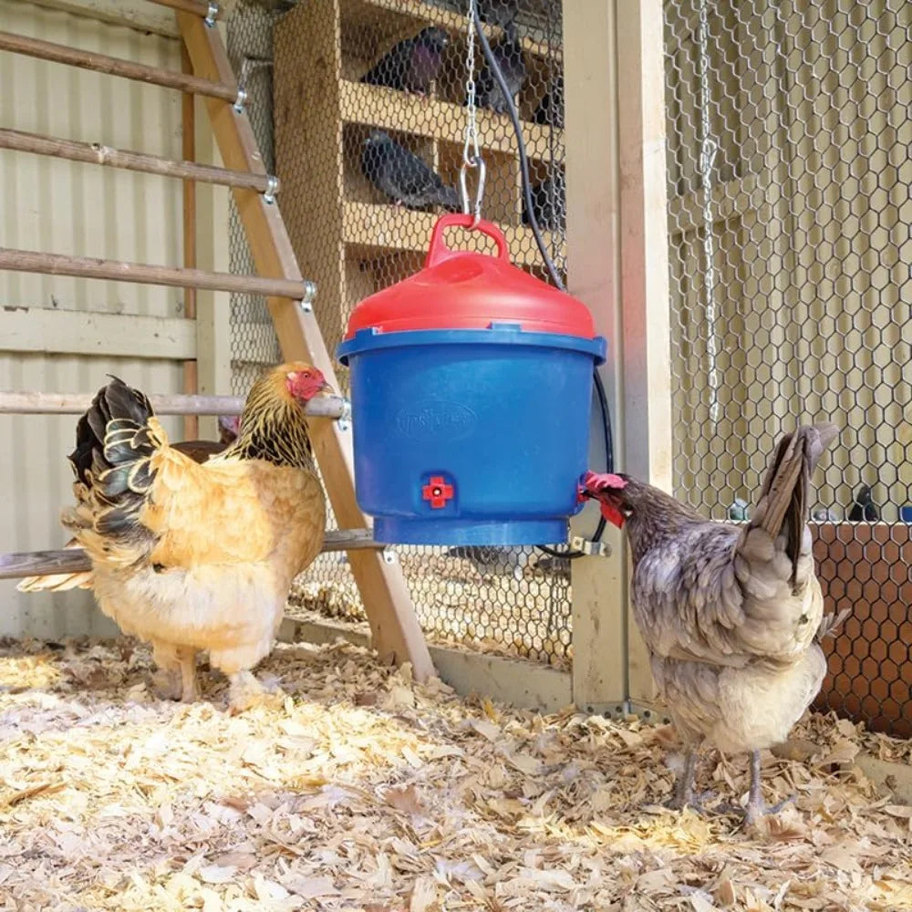 Premier 1 All Season Heated Poultry Waterer for Chickens and Ducks 3 Gallon
