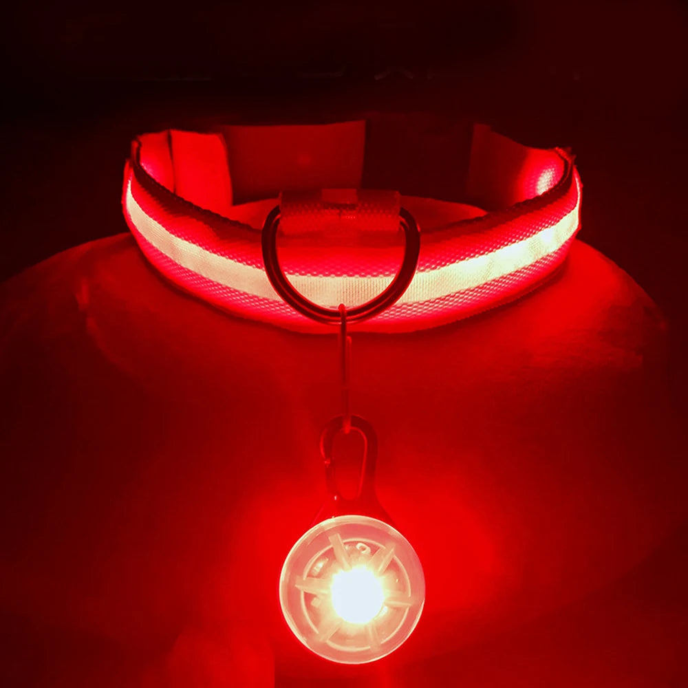 Usb Charging Glowing Dog Collar With Pendant Led Light