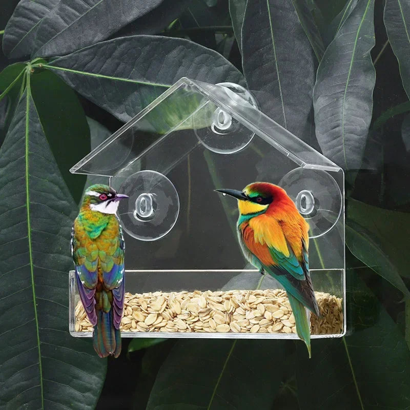Transparent Window Bird Feeder With Suction Cups Feed Tray