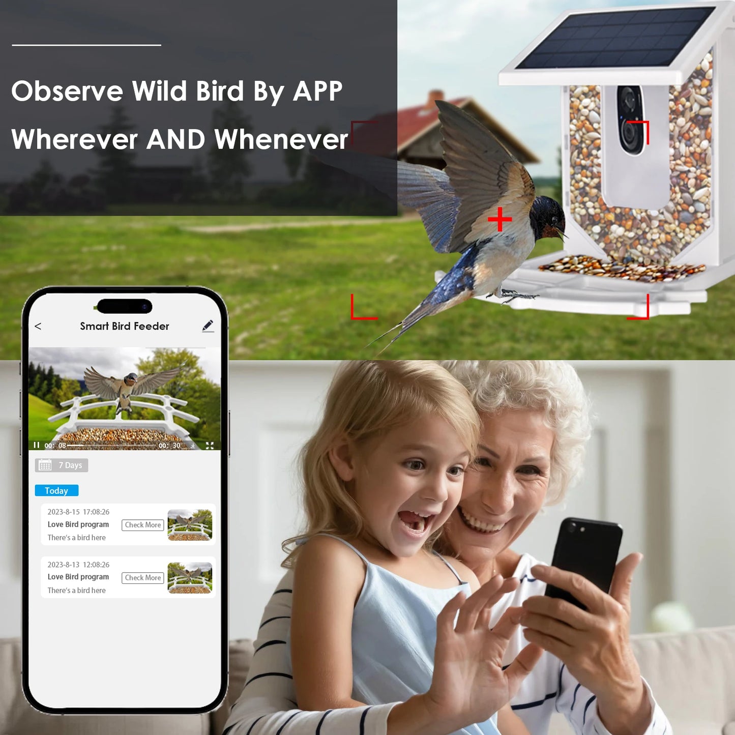 Blue Smart Bird Feeder With Camera Outdoor Waterproof HD