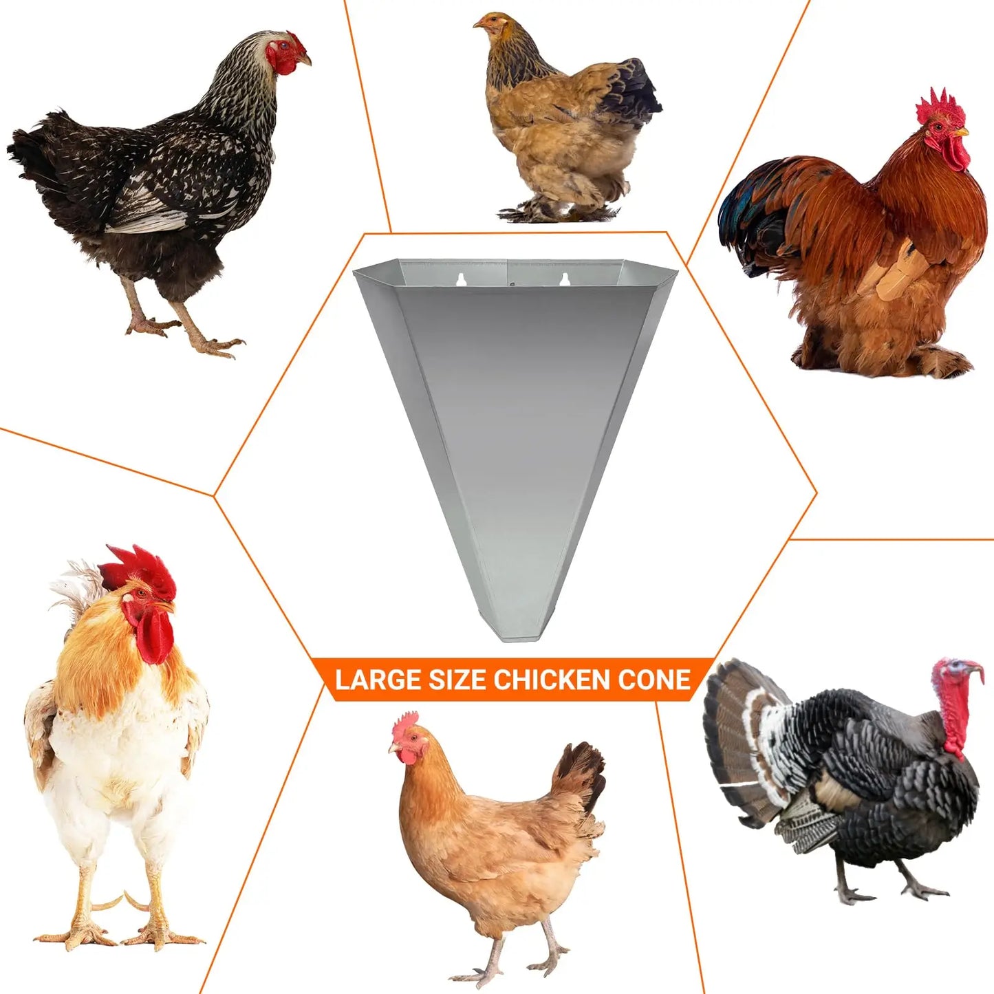 Galvanized Steel Poultry Restraining Cone Large Chicken Cones for Layers Broilers and Turkeys Up to 8 Pounds Flat Back
