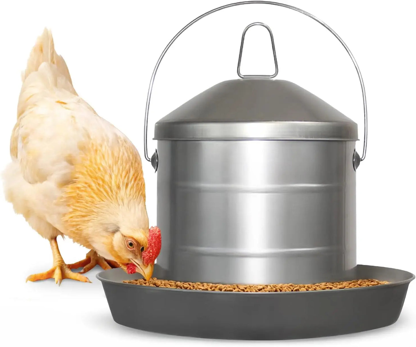 Stainless Steel Hanging Chicken Feeder No Waste Food Grade