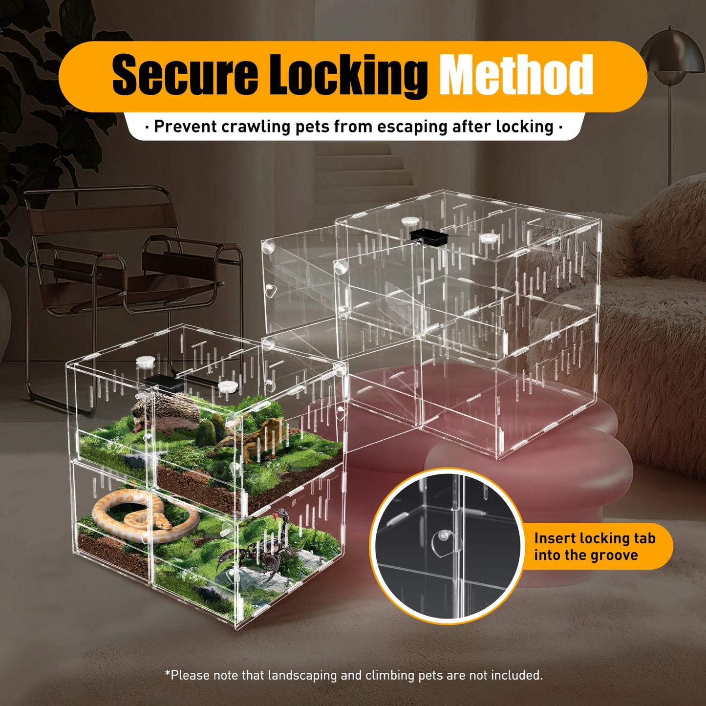 Acrylic Reptile Terrarium with 360 Degree View Secure Lock Ventilated Easy Clean and Install for Scorpions Spiders and Small Reptiles