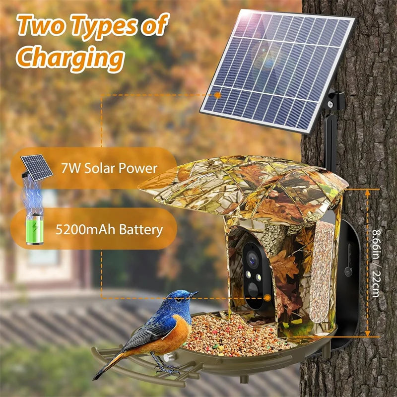 Smart Bird Feeder Camera Wireless Outdoor 1080P HD Solar