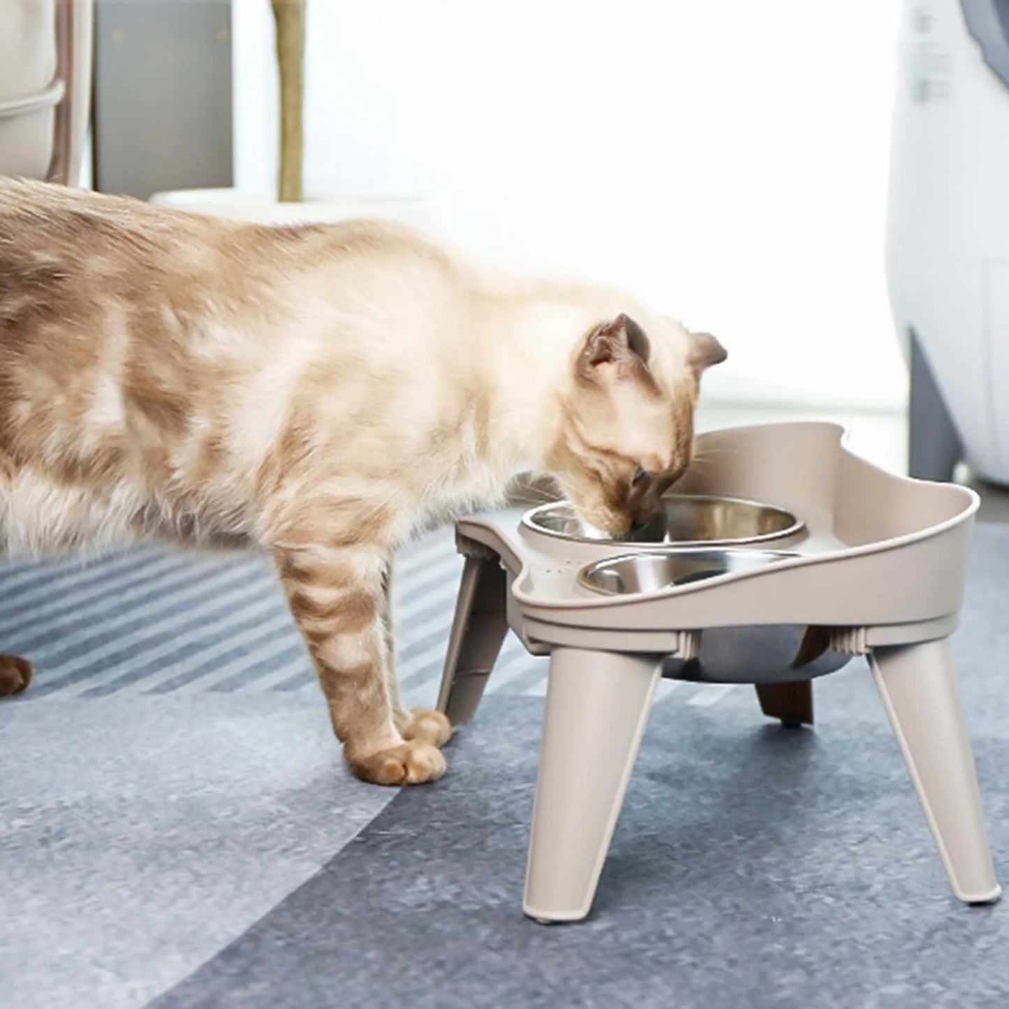 Raised Stand Elevated Dog Feeder Non-Slip No Spill Design