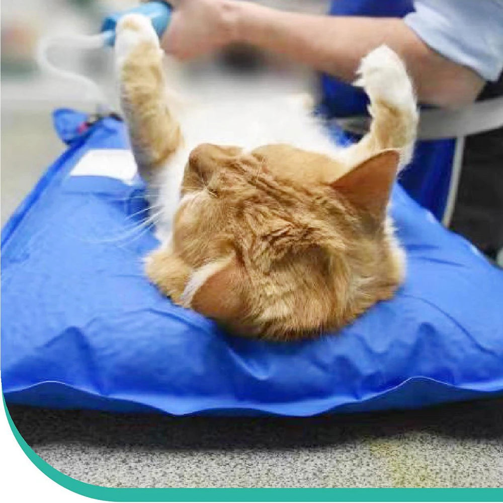 Animal Surgical Accessories Pet Vacuum Positioning Mat Small Veterinary Examination Pad