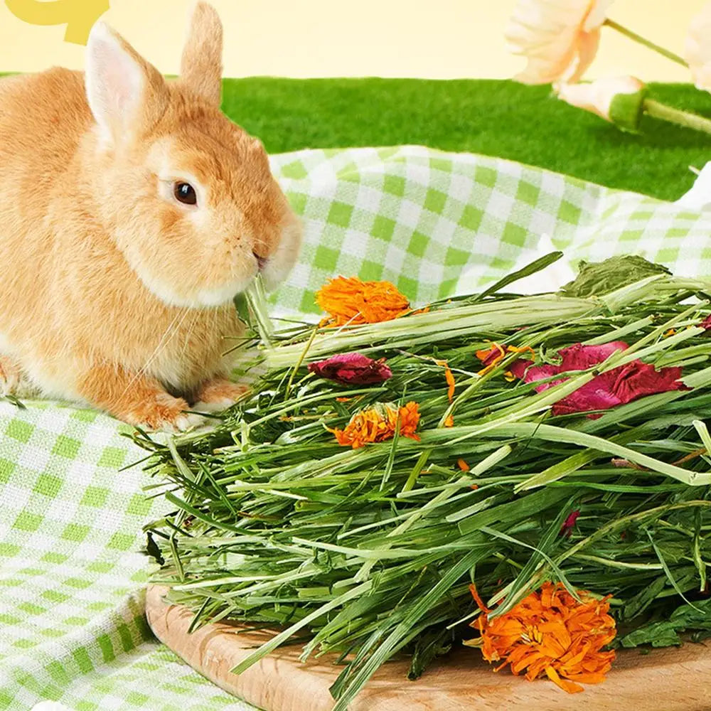 Rabbits Hay Food Safe Natural Grass Hay Bedding For Hamster