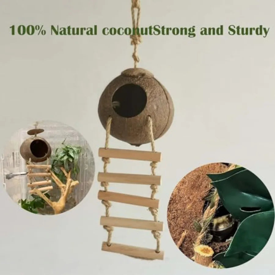 Ten Pcs Crested Gecko Tank Accessories Reptile Plants Bridge Vines Ladder Cage