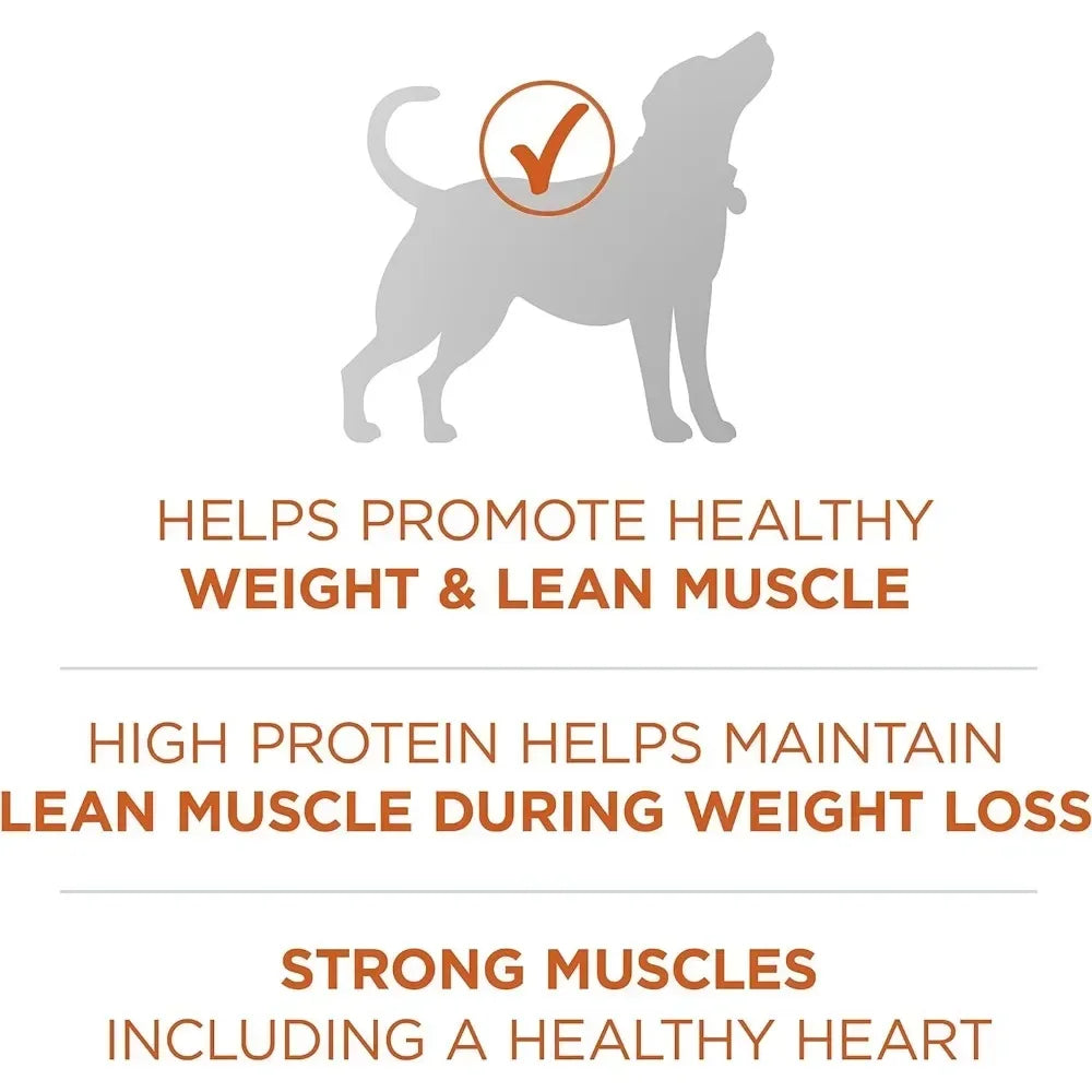 Plus Healthy Weight High Protein Dog Food Dry Formula Turkey Flavor 40 lb Bag
