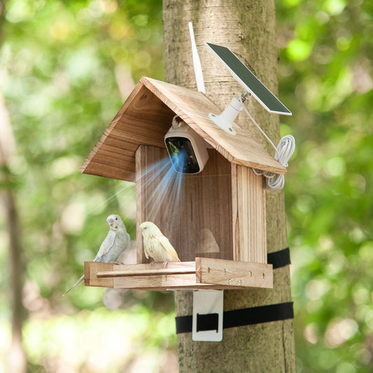 Smart Bird Feeder with Solar Powered Camera and 1080P Video, Outdoor Bird Watching Feeder with 3.5L Food Case and 128GB SD Card