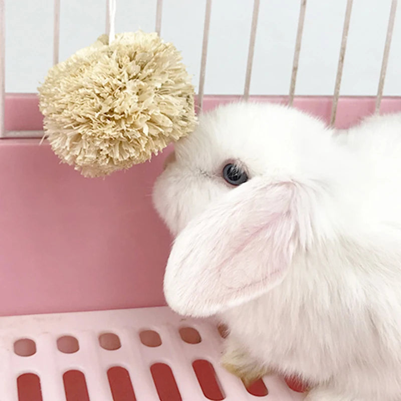Small Pet Chew Toys Hay Treats For Guinea Pig Rabbit Hamster Gerbil Teeth Cleaning Fun Teething Stick Toy Set