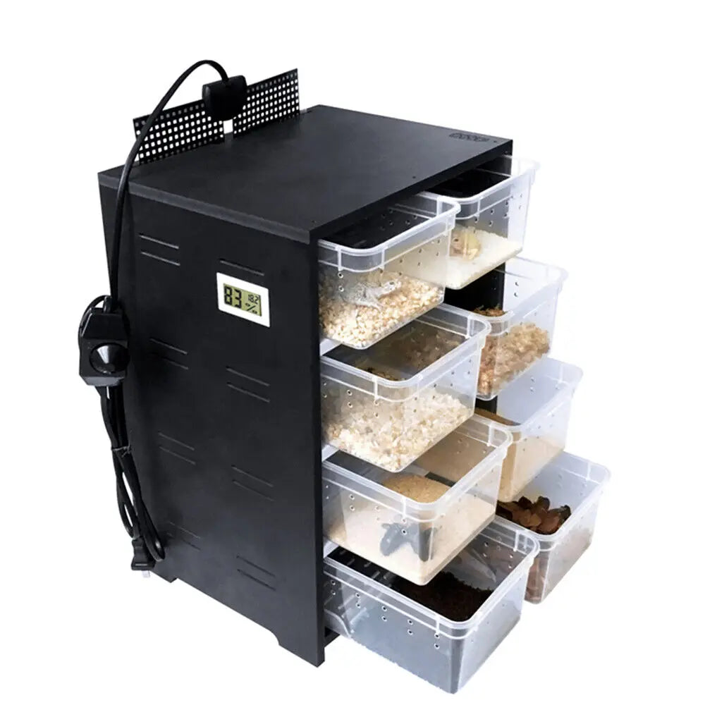 Professional Large Acrylic Feeding Box Reptile Breeding Tank Insect Spider Turtle Cage Lizard Pet Enclosure