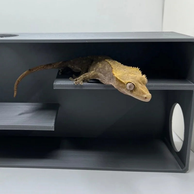 Double layered hide and seek reptile amusement park glass box decoration