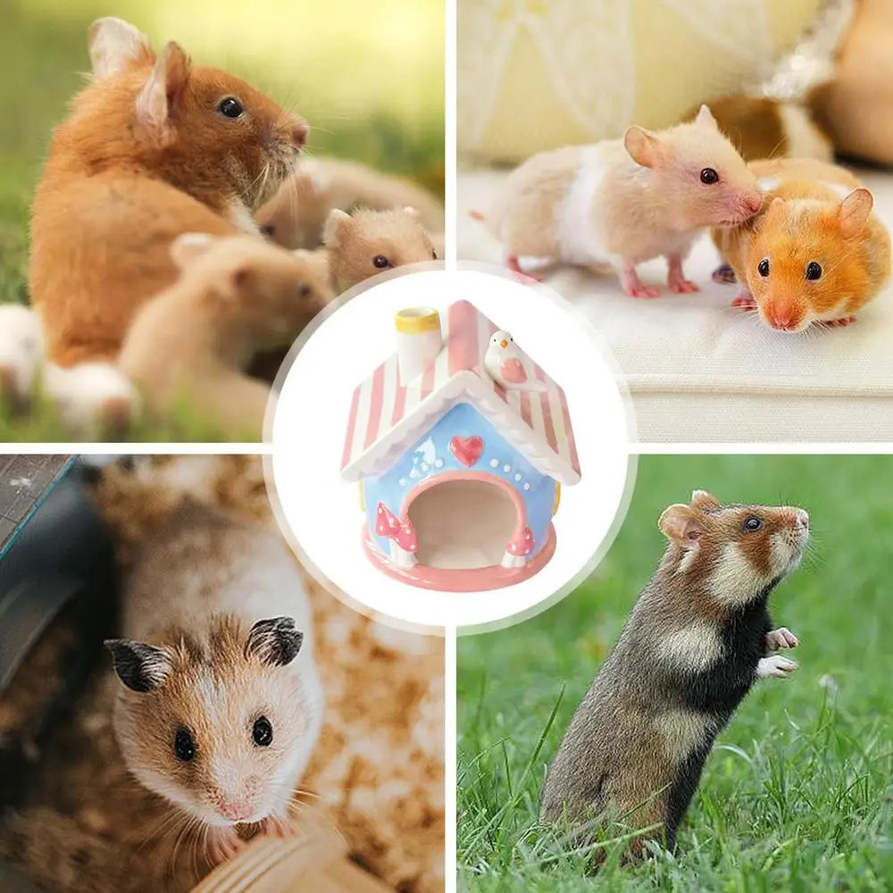 Gerbil House Cool Bed Hamster Home Creative Chinchilla Hut Pet Cage Accessories Gerbil Houses and Hideouts Small Animal Hides