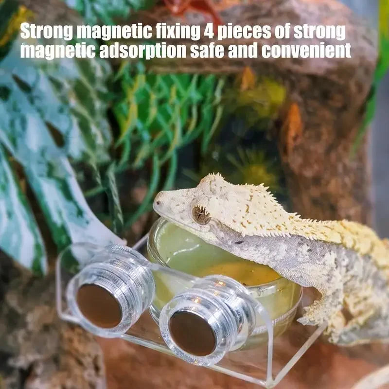 Magnetic Reptile Feeding Ledge Suction Cup Tray Geckos