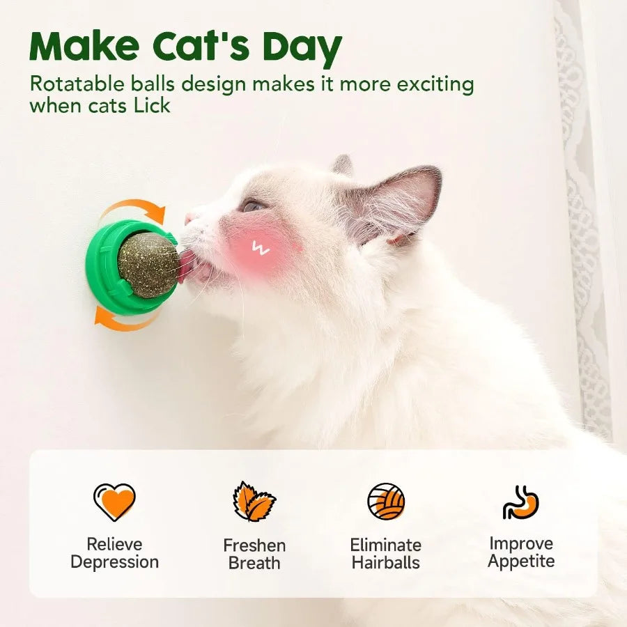 Catnip Balls for Cats 4 Pack Extra Energy Edible Silvervine Toys for Kittens Dental Cleaning