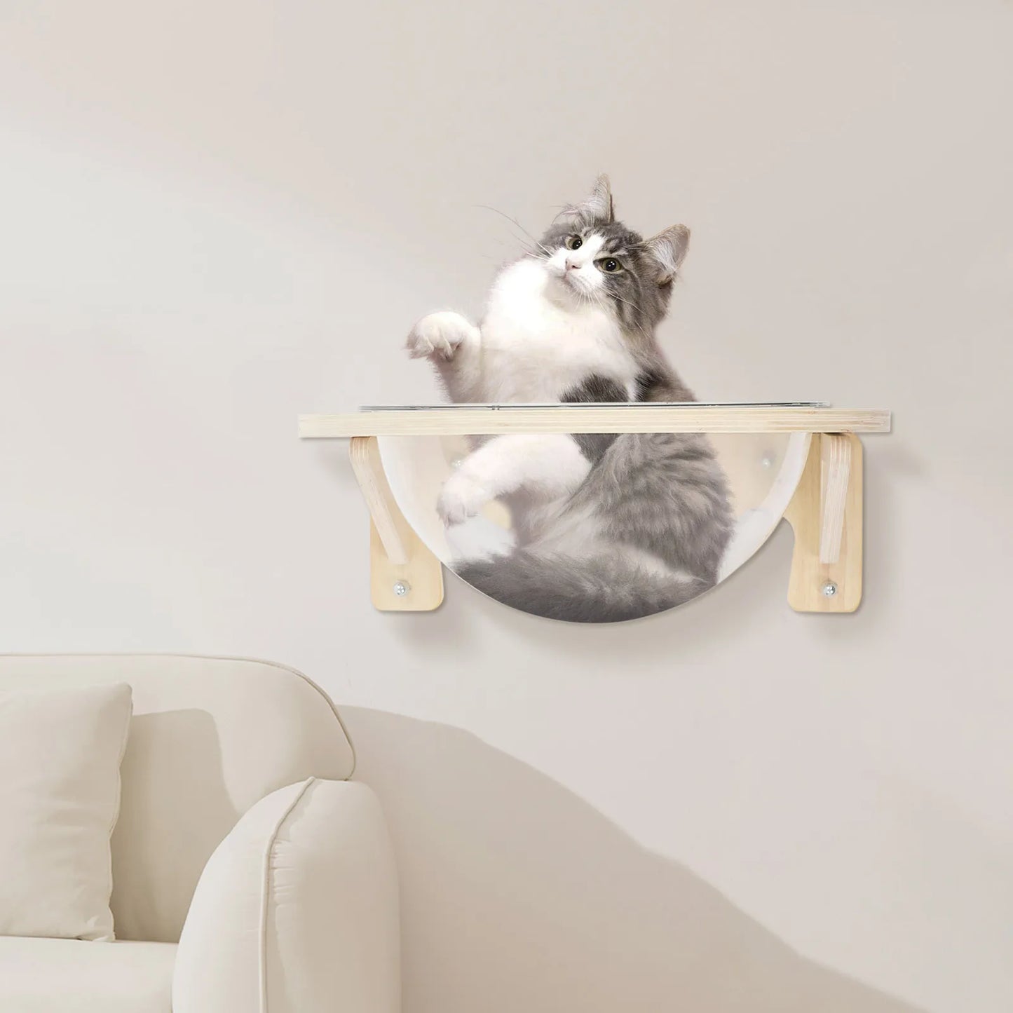 Wall Mounted Cat Bubble Bed Clear Capsule Pod For Indoor Cats