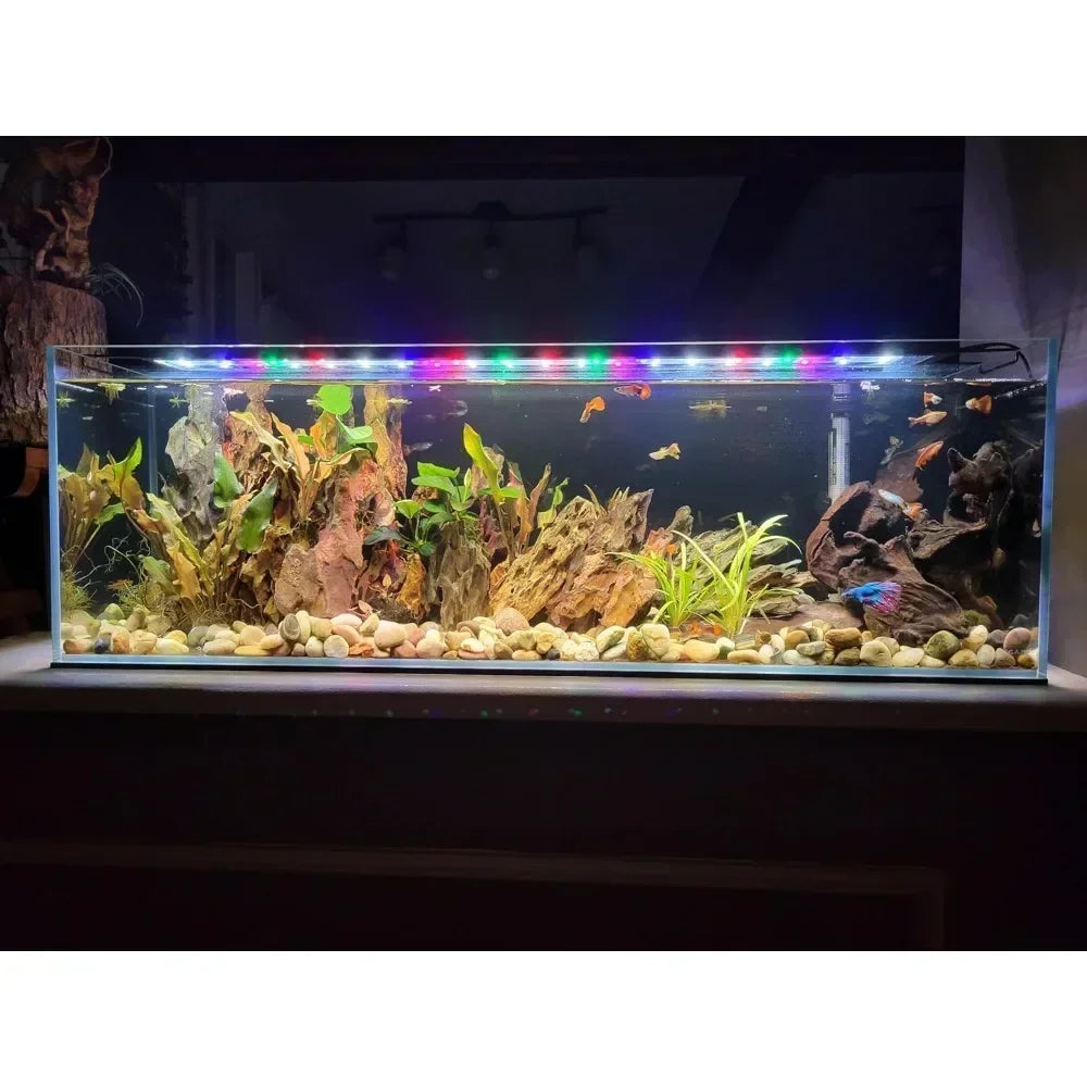 11 Gallon Low Iron Glass Bookshelf Aquarium 5mm - (31.89" x 7.87" x 9.84")