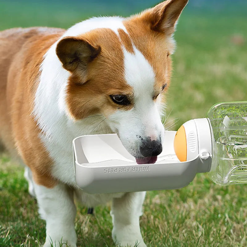 Cats and Dogs Drinking Water Feeding Kettle Large Capacity Integrated Pet Supplies 1L Water 300ml Grain