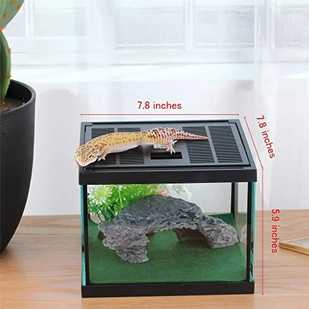 Glass Tank Spider Box Kit 7.8x7.8x5.9 Inch Tarantula Feeder Insects Beetle Habitat Amphibians Terrarium Small Pet Kit