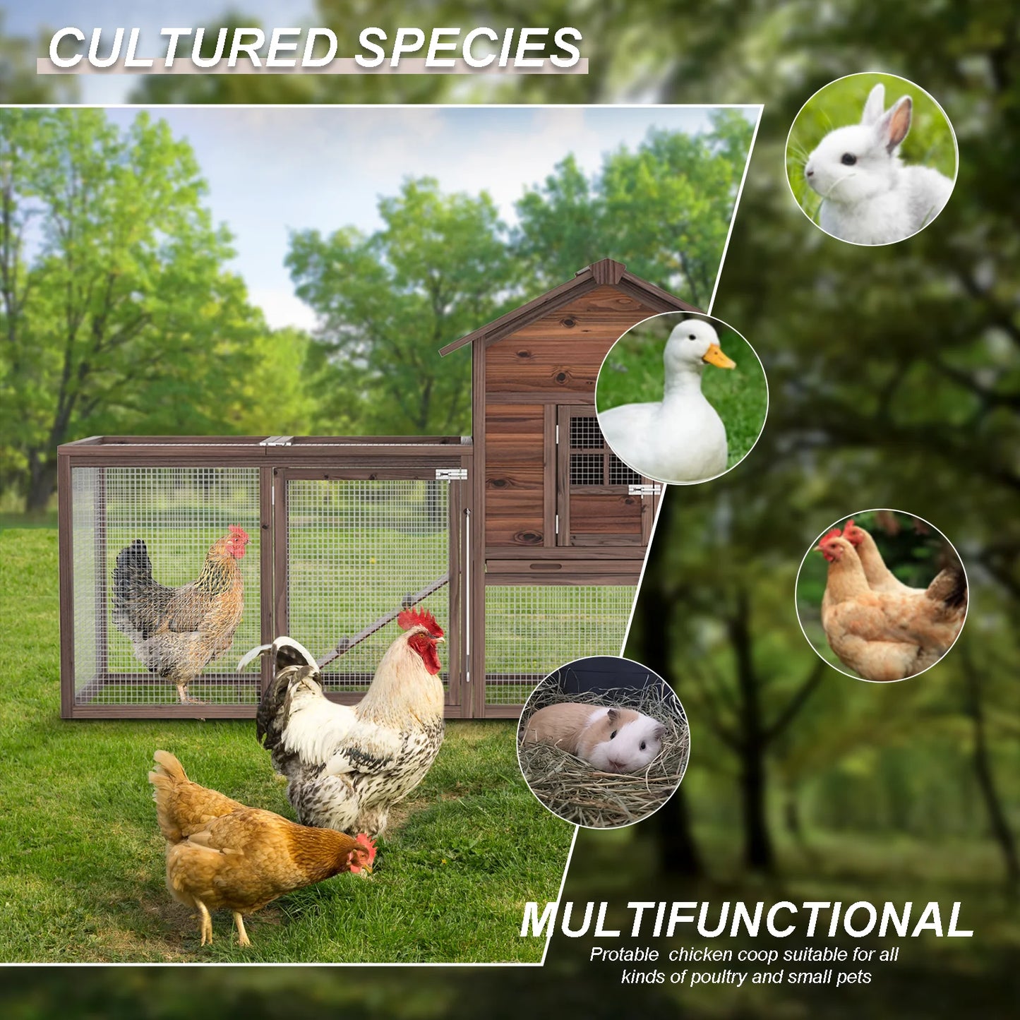 Wooden Chicken Coop for 5 Chickens with Nesting Box Tray