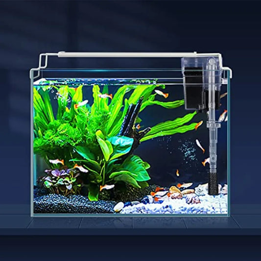 Rimless Glass Aquarium Starter Kit 3 Gallon Ultra Clear Low Iron Glass Fish Tank Set For Small Betta Fish