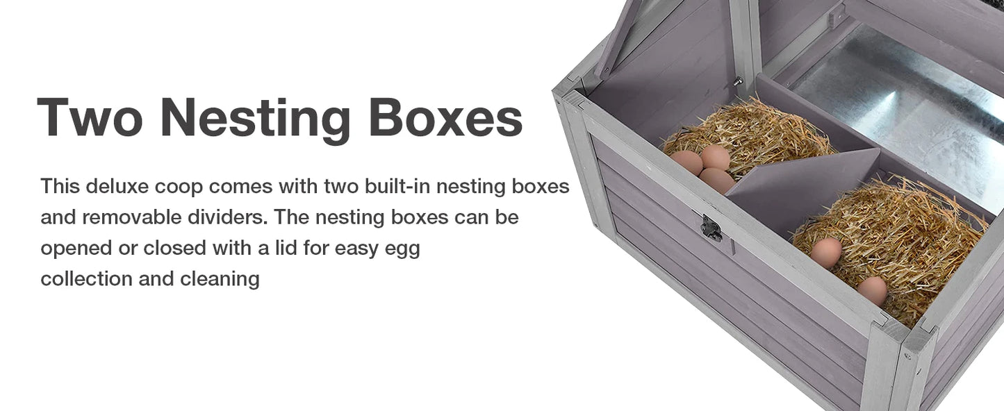 Unique Folding Design for Easy to Set Up Chicken House