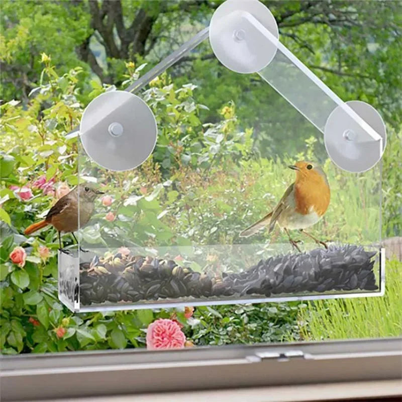 Transparent Window Bird Feeder With Suction Cups Feed Tray