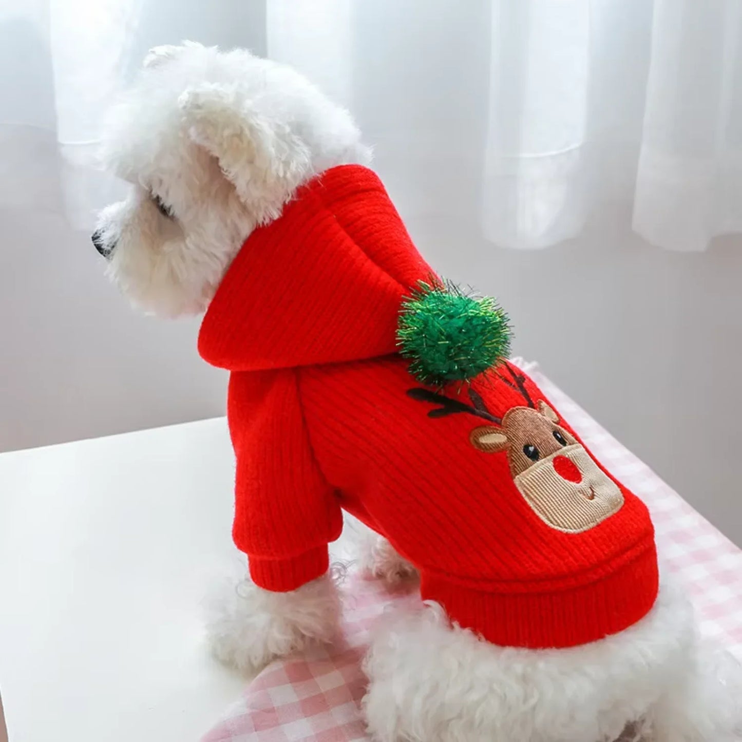 Pet Skirt Dress Winter Christmas Coat For Small Dogs