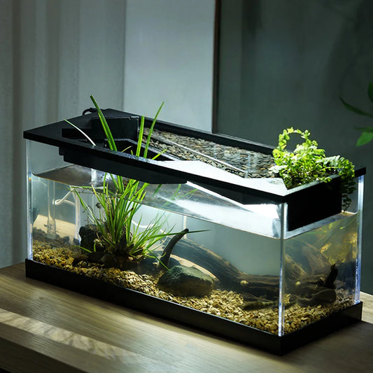 Rectangular Acrylic Aquarium Tank With Built In Light Pump