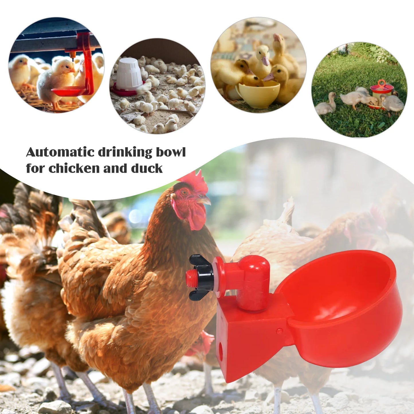 6pcs Poultry Feeder Drinker Hanging Automatic Chicken Water Dispenser Plastic Practical Convenient Tools for Farm Animal Feeding