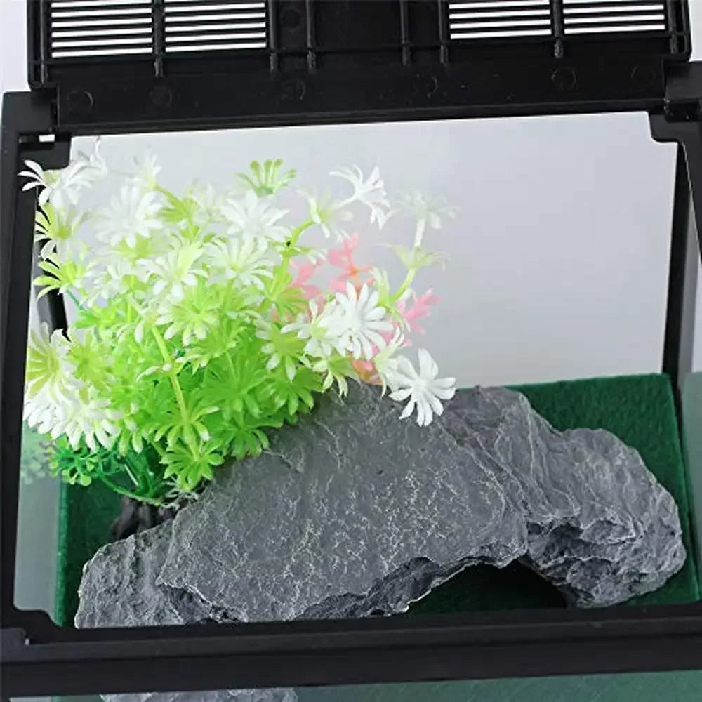 Glass Tank Spider Box Kit 7.8x7.8x5.9 Inch Tarantula Feeder Insects Beetle Habitat Amphibians Terrarium Small Pet Kit