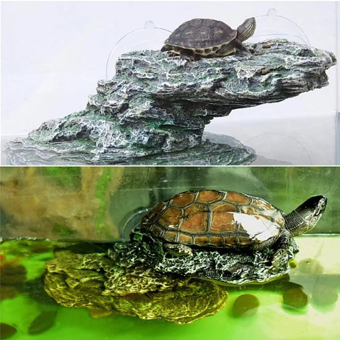 Turtle Bathing Platform With Gentle Ramp For Small Turtles