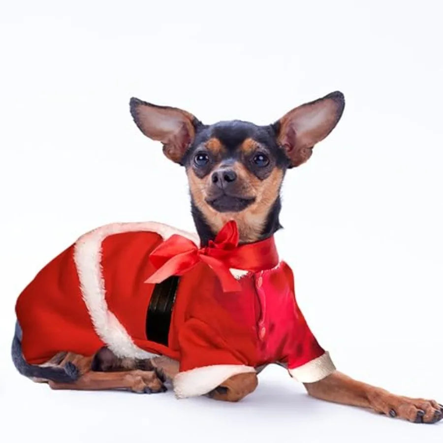 Pet Santa Claus Costume For Small Dogs Puppy Kitty Christmas Coat Hoodie